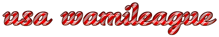 usa wamileague org